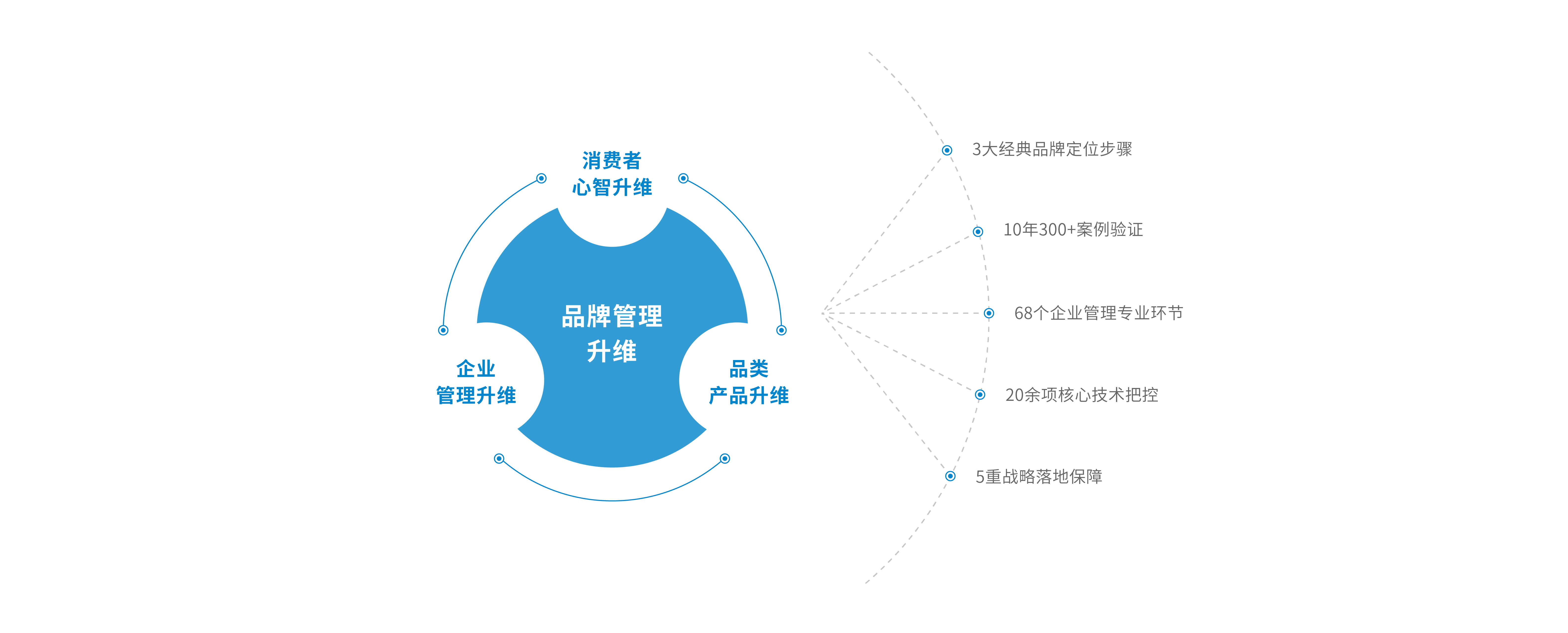 专业价值