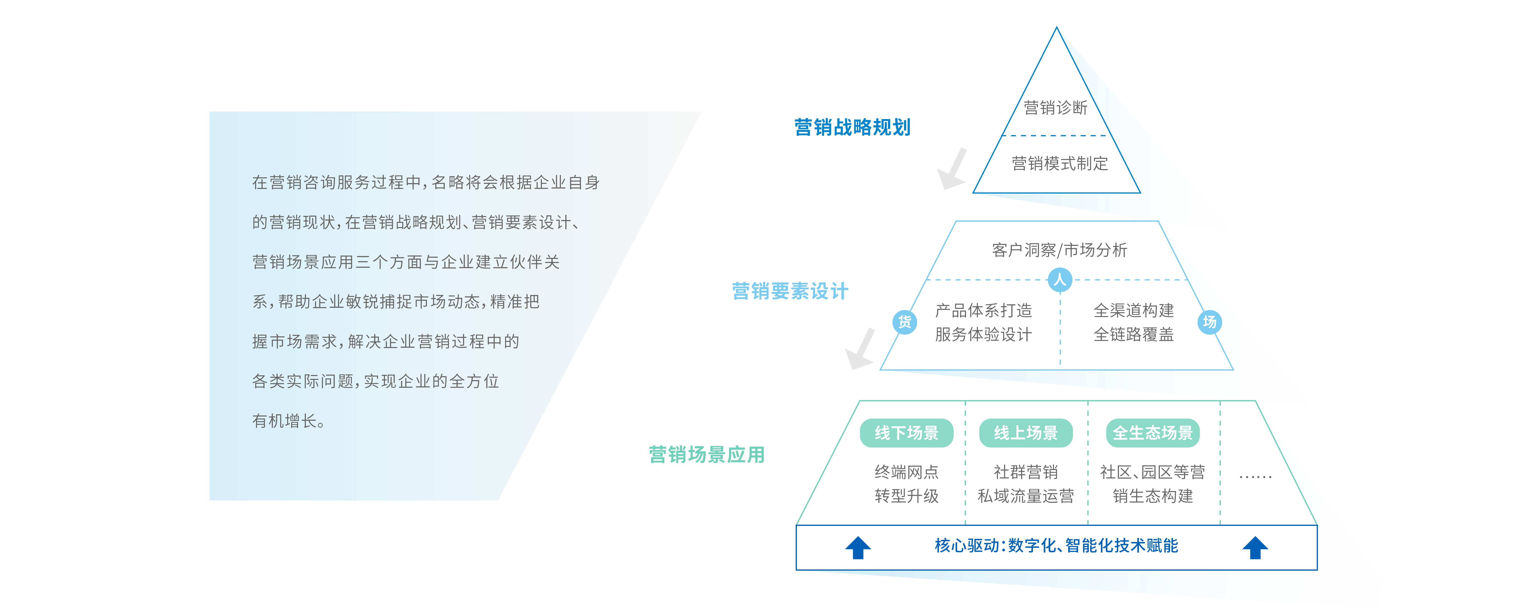 专业价值