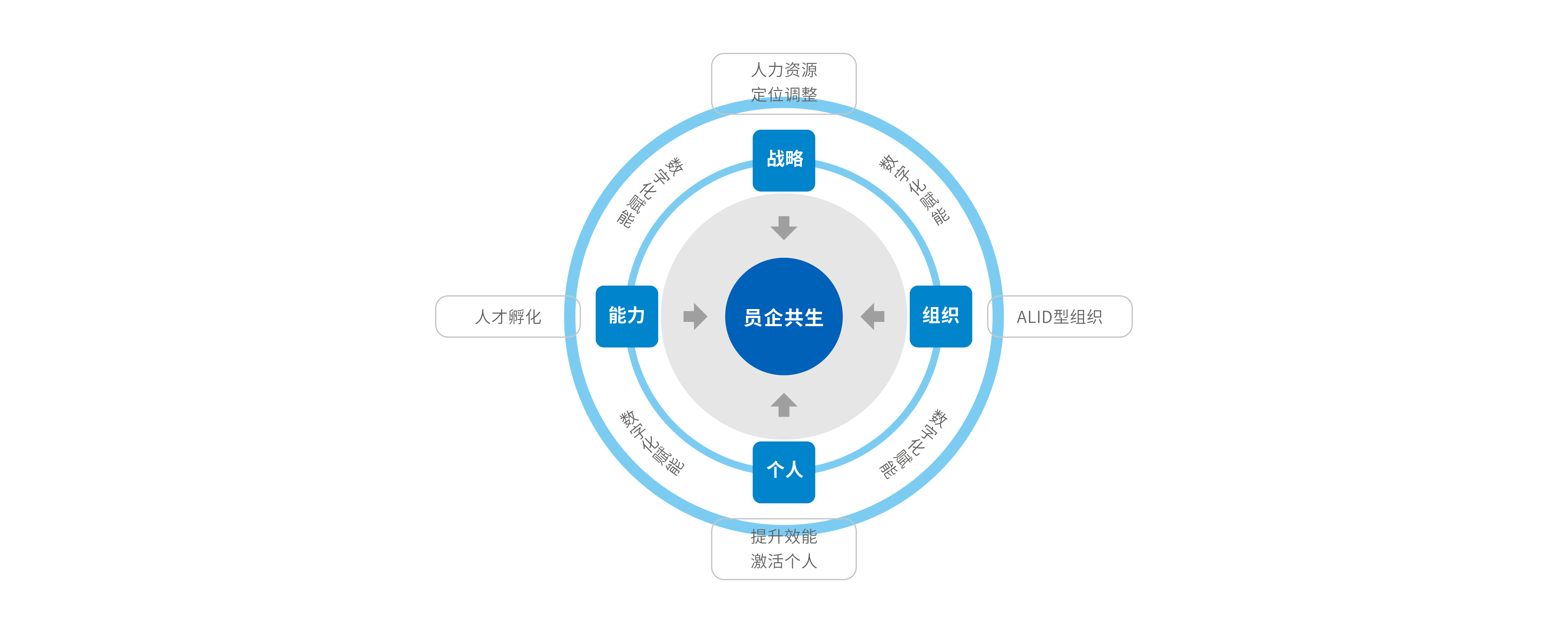 专业价值